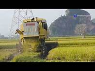 Video thumbnail for Rice Wars Uganda vs China vs Pakistan!