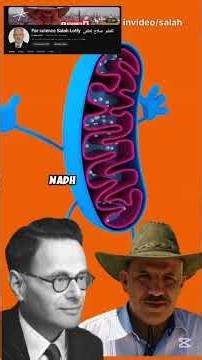 Video thumbnail for Inside the Krebs Cycle: How Your Cells Generate Energy Every Second!