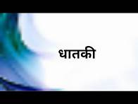 Video thumbnail for Dhatki#Importantdrug#ncism #ayurved @AYURVEDAVANI