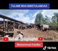 Video thumbnail for Organic Growth Strategies for Wealth Building