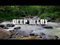 Video thumbnail for Sounds of Nature, Gentle Stream and Forest Birds, Forest door Symphony, Relaxing White Noise, ASMR