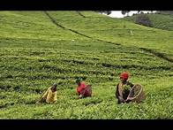 Video thumbnail for Unlocking Agricultural Credit: Bridging the Information Gap for Farmers