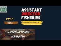 Video thumbnail for Lec 5 | Importtant fishes in Pakistan | PPSC: Assistant Director Fisheries ,Complete Preparation