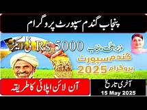 Video thumbnail for Wheat Support Program Apply Online | CM Punjab Wheat Support Program 2025