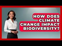 Video thumbnail for How Does Climate Change Impact Biodiversity? - International Policy Zone