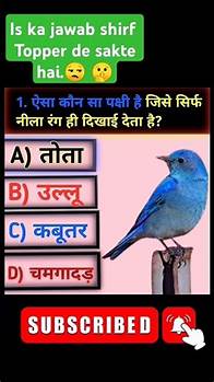 Video thumbnail for gk question || gk questions and answers || gk quiz in hindi || gk quiz #gkfacts #shortsfeed