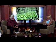 Video thumbnail for Newark Valley Historical Society hosts Annual Bluebell Festival