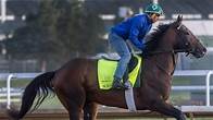 Video thumbnail for Free Kentucky Derby picks: Ed DeRosa makes 2025 prediction