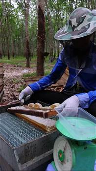 Video thumbnail for grasshopper farming in uganda, grasshopper farming in kenya,