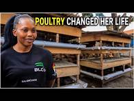 Video thumbnail for Why More Women Should Join Poultry Farming