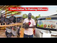 Video thumbnail for From Dubai To Making Millions Every Month Through Local Chicken Farming In Uganda