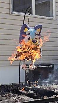 Video thumbnail for Bluey gets BURNED! This is How it Happened!