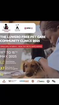 Video thumbnail for Stray Dog Support on Instagram: "Urgent Appeal: Help Us Combat Rabies in Uganda – Support a Life-Saving Community Project We’re honored to partner with @uniquelypawslimited , a USA-based nonprofit operating in Uganda, and @spca_international to launch a critical rabies prevention and dog population control campaign in Luwero District, Uganda this May. Together, we’ll vaccinate 800 dogs and cats, perform 150 spay/neuter surgeries, and educate 1,000+ school children on rabies prevention and proper