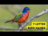 Video thumbnail for Sunday Brain Teasers & Word Puzzles | Test Your Word Skills & Logic