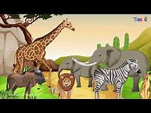 Video thumbnail for Where Animals Live! Exploring Different Habitats for Kids