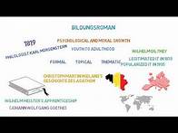 Video thumbnail for What Is Bildungsroman | Its Origin & Plot Outline | Literary Term ( English Literature )