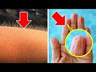 Video thumbnail for 90 Facts You Never Knew You Wanted to Know