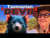 Video thumbnail for Amazing Australian Animals That Will Astonish You!