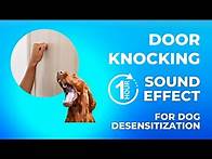 Video thumbnail for Door Knocking Sound Effect for Dogs 1 Hour | Dog Training