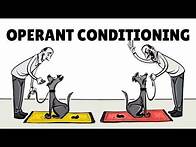 Video thumbnail for Skinner’s Operant Conditioning: Rewards & Punishments