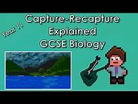Video thumbnail for Capture-Recapture Equation Explained with Example - WJEC Biology - (GCSE REVISION) Year 11