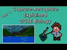 Video thumbnail for Capture-Recapture Equation Explained with Example - WJEC Biology - (GCSE REVISION) Year 11