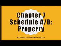 Video thumbnail for Chapter 7 Schedule A/B Preview, Official Bankruptcy Form 106A/B