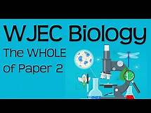 Video thumbnail for The Whole of WJEC Biology paper 2!!! In only 65 minutes!!1