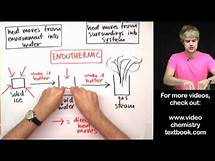 Video thumbnail for Phase Changes: Exothermic or Endothermic?
