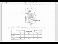 Video thumbnail for CSEC HUMAN AND SOCIAL BIOLOGY PAPER 1 JUNE 2023