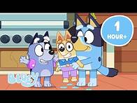 Video thumbnail for 🔴LIVE: Bluey Festive Full Episodes 💙 1HOUR! | Bluey