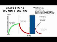 Video thumbnail for Classical Conditioning-Acquisition, Extinction,Spontaneous Recovery, Generalisation & Discrimination