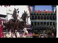 Video thumbnail for Today in St. Louis is live from Busch Stadium for the Cardinals home opener