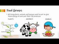 Video thumbnail for Grade 6 - Natural Science - Nutrients in Food