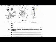 Video thumbnail for 2024 Biology Paper 2 Exam Revision Jam start