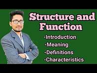 Video thumbnail for what is social structure and function?social structure in Sociology. meaning, definition,features