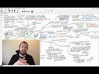 Video thumbnail for Biodiversity Mindmap (OCR A Level Biology Module 4.2)