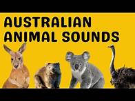 Video thumbnail for Australian Animal Sounds