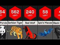Video thumbnail for Most Endangered Species | Comparison