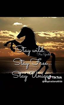 Video thumbnail for Happy Thursday Quotes to Inspire and Motivate | Good Morning Everyone