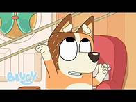 Video thumbnail for Sticky Gecko | Bluey Season 2 | Bluey