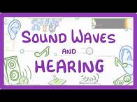 Video thumbnail for GCSE Physics - Sound Waves and Hearing