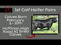 Video thumbnail for Heldt Cattle Co | RESCHEDULED to March 27, 2025