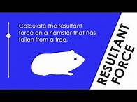 Video thumbnail for Calculating Resultant Force (on a Hamster) - WORKED EXAMPLE - GCSE Physics