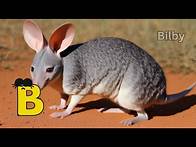 Video thumbnail for Experience Amazing Aussie Animals From A to Z