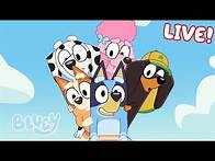 Video thumbnail for 🔴LIVE: Fun Bluey Games to Play with Friends | 40 MINUTES | Bluey
