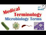 Video thumbnail for Medical Terminology - The Basics - Microbiology and Infectious Diseases Lesson