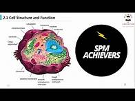 Video thumbnail for Form 4 Biology KSSM Chap 2: Cell Biology & Organisation [Part 1]