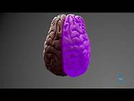 Video thumbnail for Educational Video: Introduction to Brain Injury
