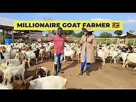 Video thumbnail for She Left America To Start A Successful Goat Farm In Uganda & Now Earns Millions